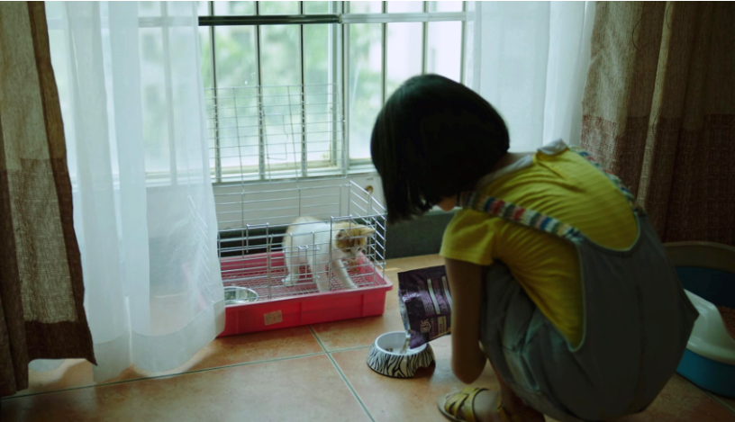 哮喘 呼吸肌 呼吸 隐秘的角落 普普 张东升 