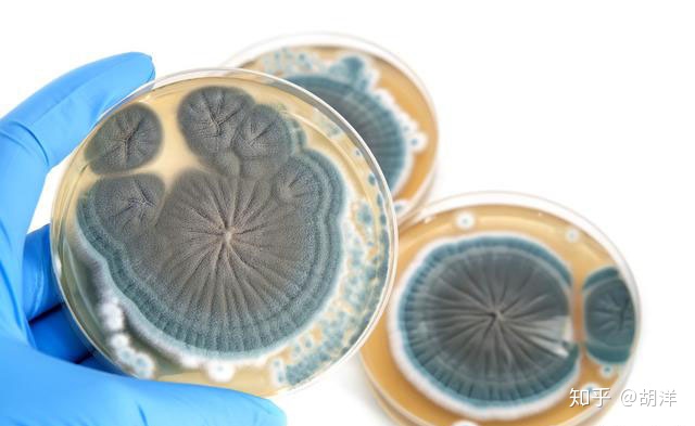 加湿器-肺炎-哮喘-慢阻肺-咳嗽-咳喘-支气管炎-肺功能检测仪-呼吸训练器