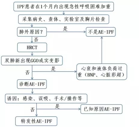 钟南山-肺-肺康复-特发性肺纤维化-肺炎-间质性肺炎-间质性肺纤维化-IPF-AE-IPF-HRCT-GGO