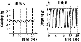 苏炳添-9秒83-亚洲飞人-田径-百米赛跑-奥运-2020奥运-东京奥运-呼吸肌-呼吸训练-腹式呼吸-呼吸频率-吹气球-呼吸训练器-呼吸峰流速仪-亚洲最快