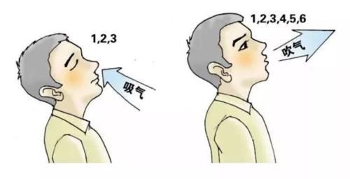 呼吸训练-呼吸康复-心肺康复-心源性肺病-慢性阻塞性肺病-COPD-间质性肺病-支气管扩张-支气管哮喘-脑卒中-心肺疾病-亚健康-围手术期-肺减容手术-肺移植-主动呼吸训练-被动呼吸训练-抗阻式呼吸-膈肌-肋间肌-腹壁肌-胸锁乳突肌-背部肌群-胸部肌群